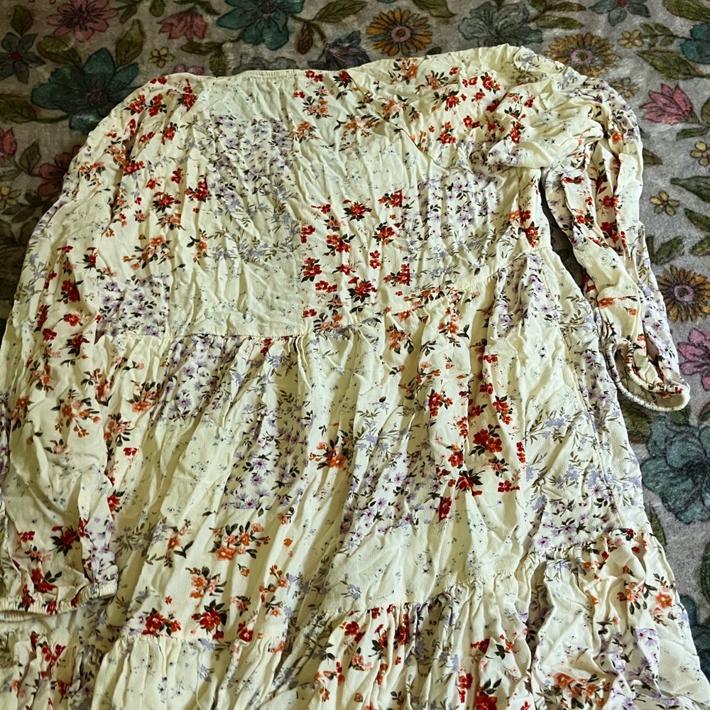 American eagle floral dress  - Cream with Red and Purple Accents - Picture 3 of 3